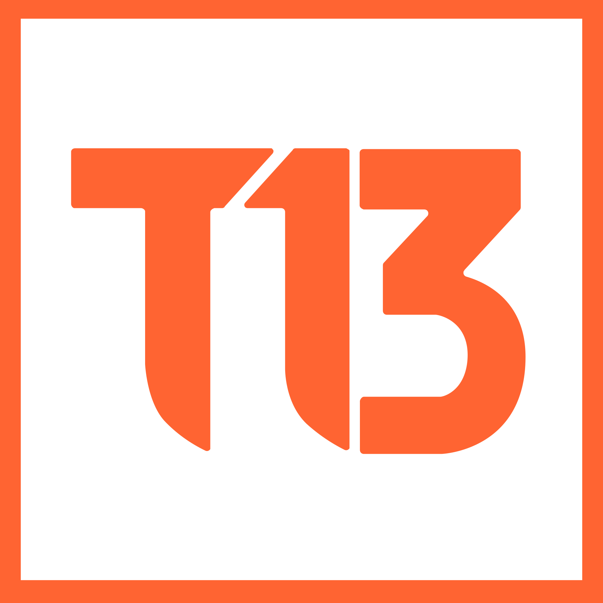 T13